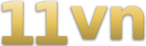 11vn logo